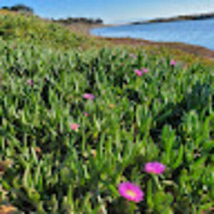 Meet your Posher, Hien